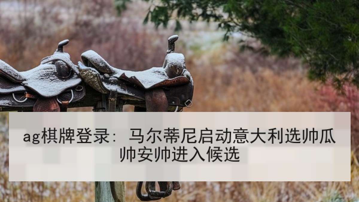 ag棋牌登录: 马尔蒂尼启动意大利选帅瓜帅安帅进入候选