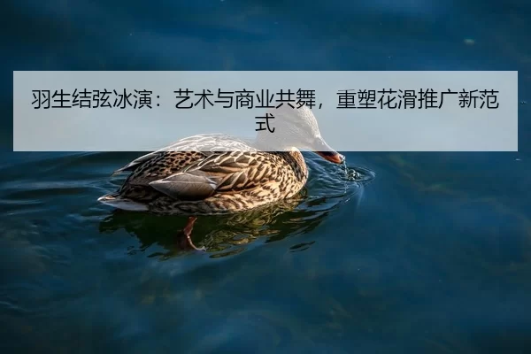 羽生结弦冰演：艺术与商业共舞，重塑花滑推广新范式