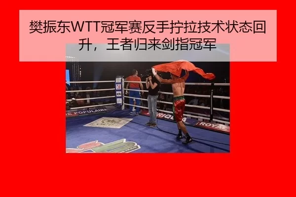 樊振东WTT冠军赛反手拧拉技术状态回升，王者归来剑指冠军
