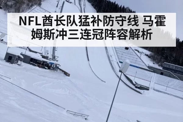NFL酋长队猛补防守线 马霍姆斯冲三连冠阵容解析